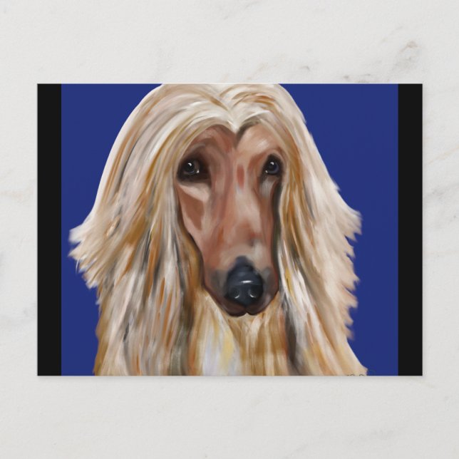 AFGHAN HOUND VYKORT (Framsida)