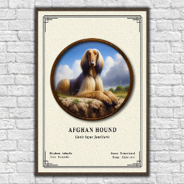 Afghan Hound Zoologi Serie Poster