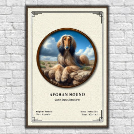 Afghan Hound Zoologisk Serie Poster