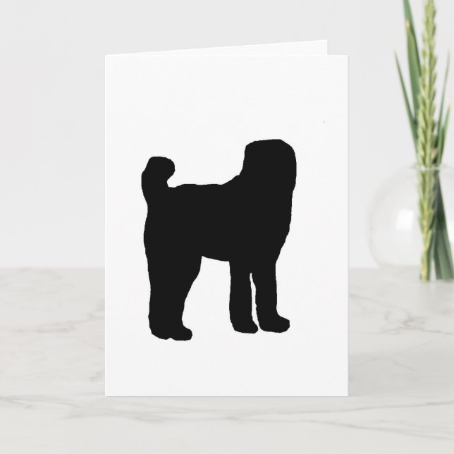 afghan shepherd silhouette kort (Framsida)