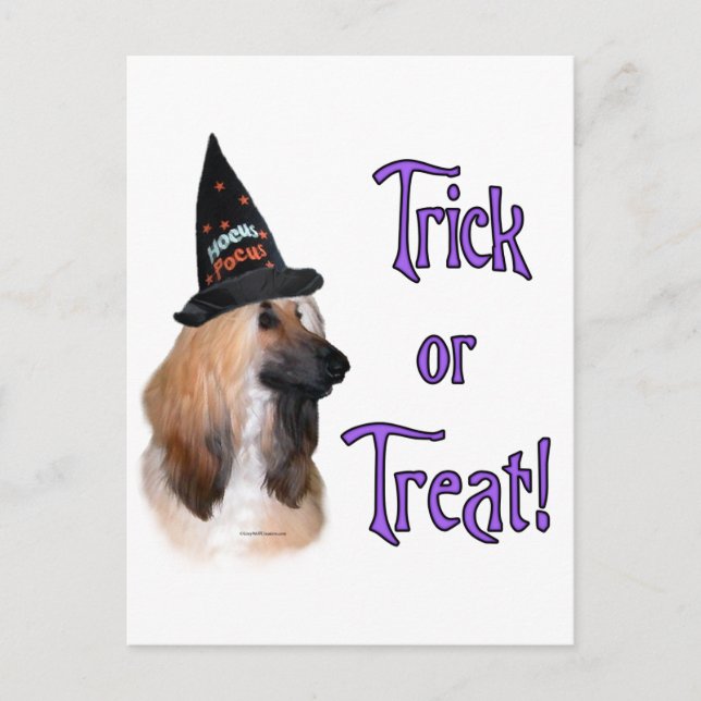 Afghan Trick Vykort (Framsida)