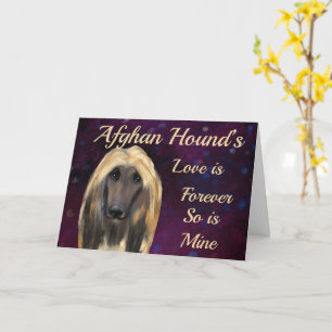 AFGHANHUND KORT