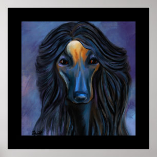 Afghanhund Poster
