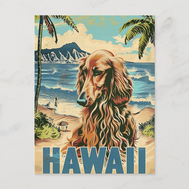 Afghansk hound Hawaii Vacation Travel Vykort (Framsida)