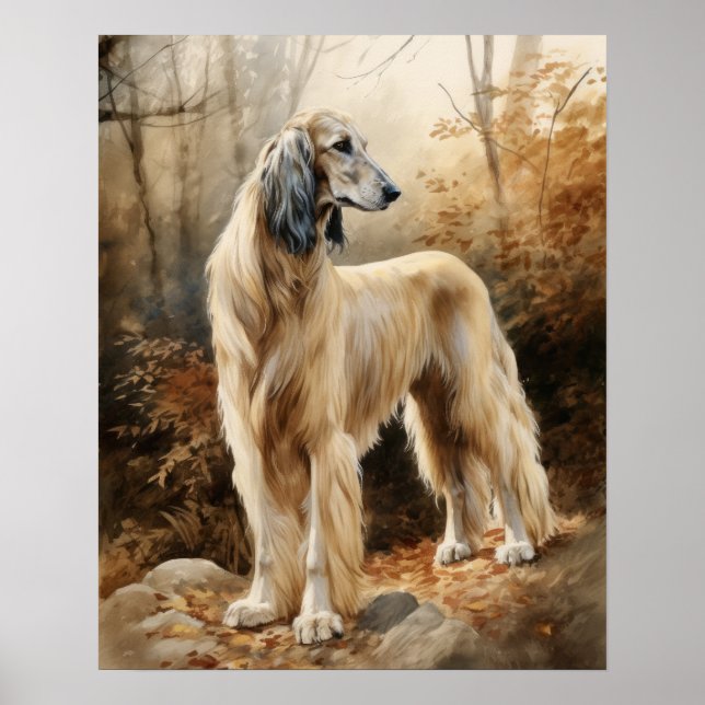 Afghansk Hound Hund Art-utskrift Poster (Framsidan)