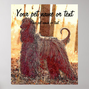 Afghansk hound-hund i skogen poster