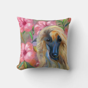 Afghansk hound kudde