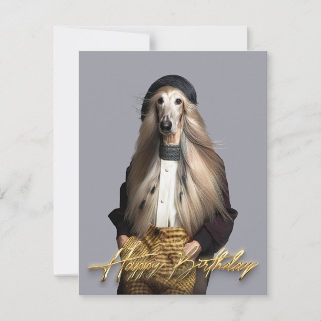 Afghansk hund blonde hår i byxor Grattis på födels (Framsida)