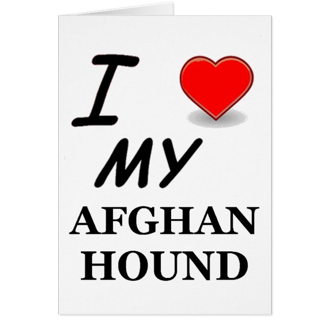 afghansk hund hälsningskort (Framsidan)