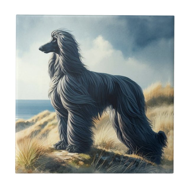 Afghansk hund kakelplatta (Framsidan)