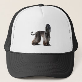 Afghansk hund keps