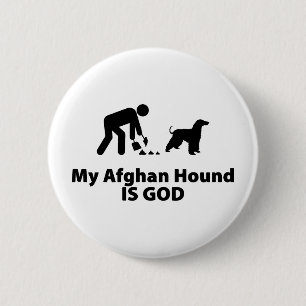 Afghansk hund knapp