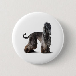 Afghansk hund knapp