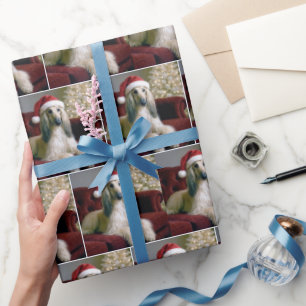 Afghansk hund med Jultomten Hat Presentpapper