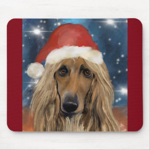 AFGHANSK HUND MUSMATTA