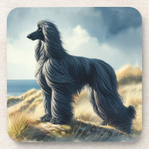Afghansk hund