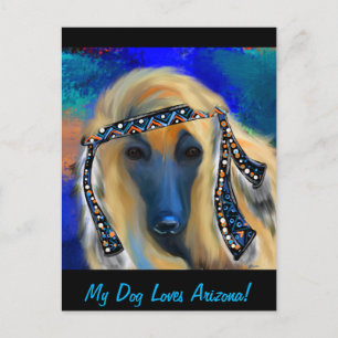 Afghansk hund vykort