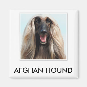 Afghansk hundmagnet magnet