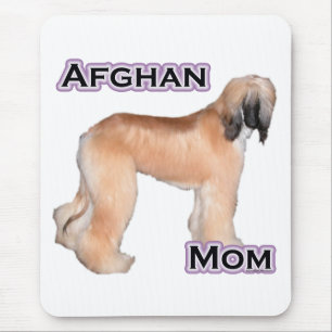 Afghansk Mamma 4 - Musslor Musmatta