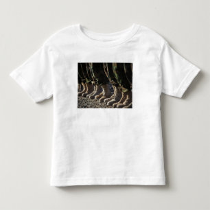 Afghansk Medborgare Armé Lufta Corp soldater T-shirt