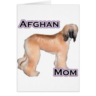 afghanska Mamma 4 Hälsningskort