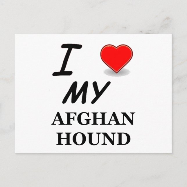 afghanthund vykort (Framsida)