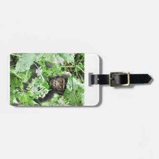 Africa - Gorilla Baby Bagagebricka