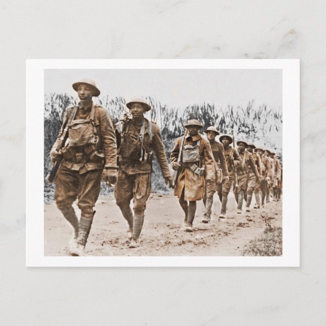 African American Soldiers WWI Vykort (Framsida)