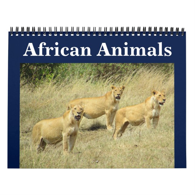 african animalia kalender (Omslag)
