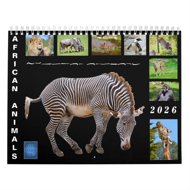African animals 12 month calendar kalender (Omslag)