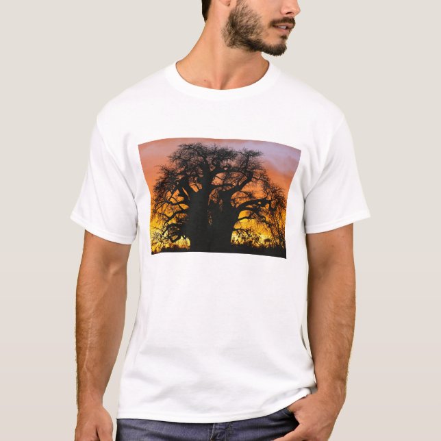 African baobab träd, Adansonia digitata Tee Shirt (Framsida)