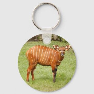 African Bongo Nyckelring
