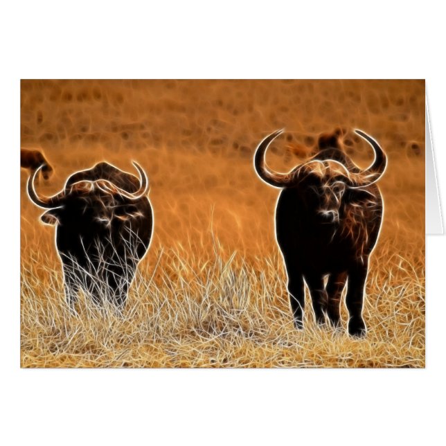 African Buffalo Hälsningskort (Framsidan Horizontal)