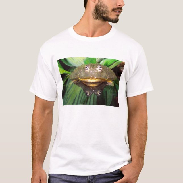 African Burrowing Bullfrog, Pyxicephalus 2 T Shirt (Framsida)