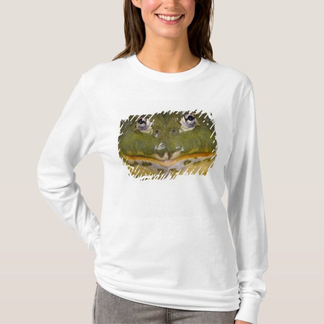 African Burrowing Bullfrog, Pyxicephalus T-shirt (Framsida)