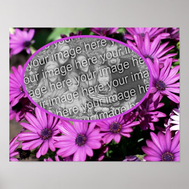 African Daisy Flowers Ram Skapar ditt eget foto Poster (Framsidan)