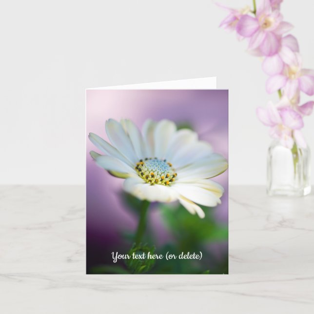 African Daisy Greeting Card Kort (Orkide)