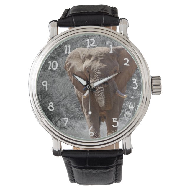 African Elephant Armbandsur (Framsida)