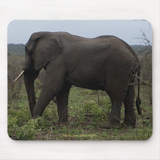African Elephant Big Fem Animal Mousepad Musmatta (Framsidan)