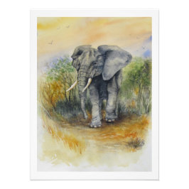African Elephant Fototryck