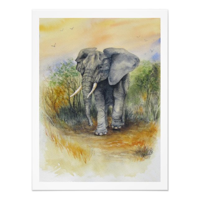 African Elephant Fototryck (Framsidan)