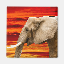 African Elephant - Fridge Magnet