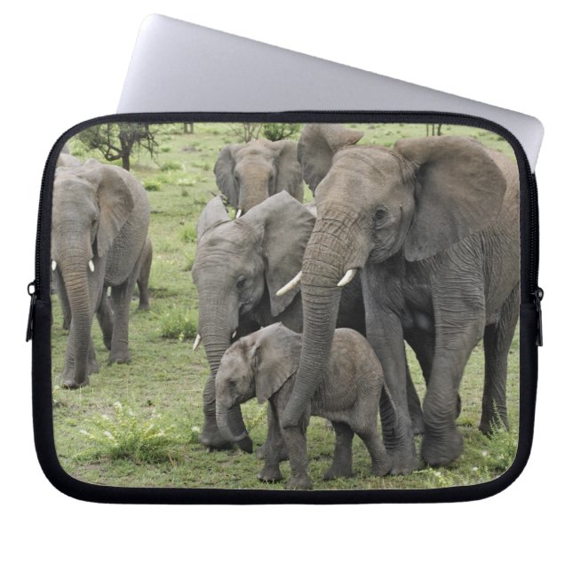 African Elephant herd, Loxodonta africana, 2 Laptop Fodral (Framsidan)