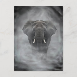 African Elephant in Misty Fog Serene Impasto Vykort