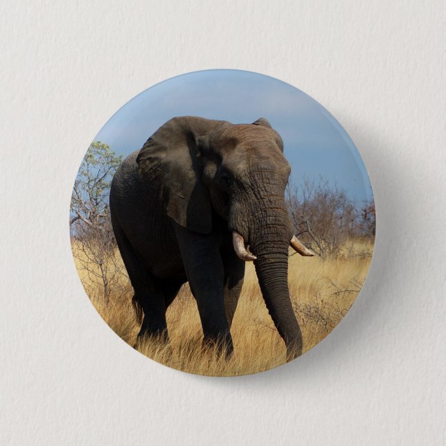 African Elephant Knapp (Framsida)