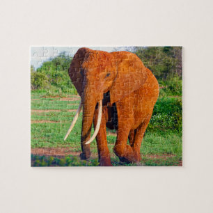 African Elephant Pussel