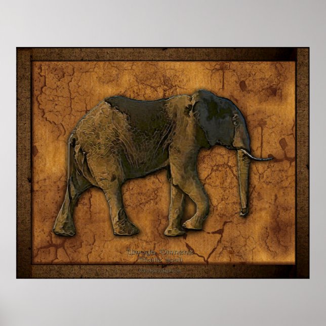 African Elephant Rustic Art Print Poster (Framsidan)