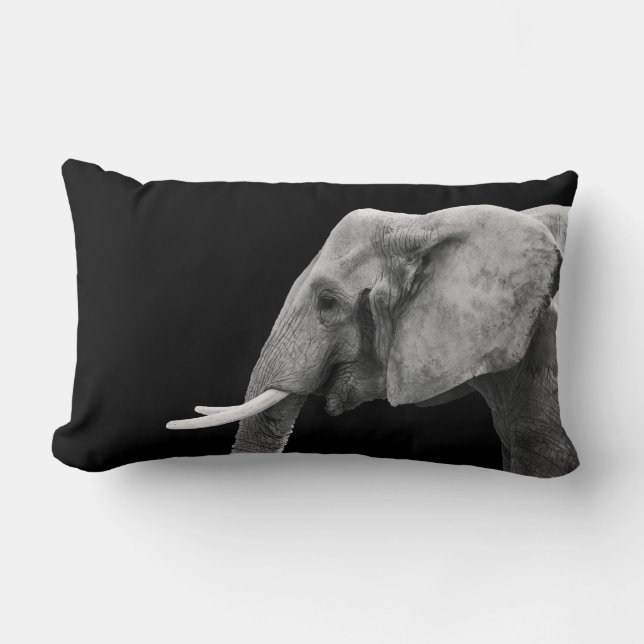African Elephant Safari Animal Photo Lumbarkudde (Framsida)