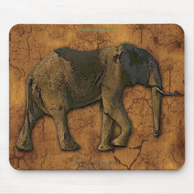 African Elephant Series Musmatta (Framsidan)