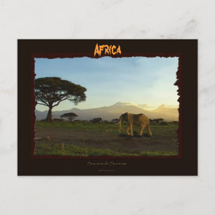 African Elephant Series Vykort